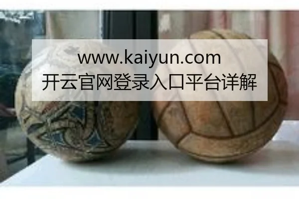 www.kaiyun.com开云官网登录入口平台详解